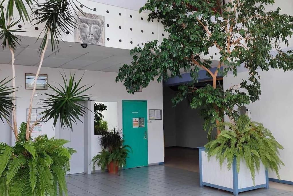Studio Calais Front De Mer-Le Cocon Du Dragon-Classe 3 Etoiles Bagian luar foto
